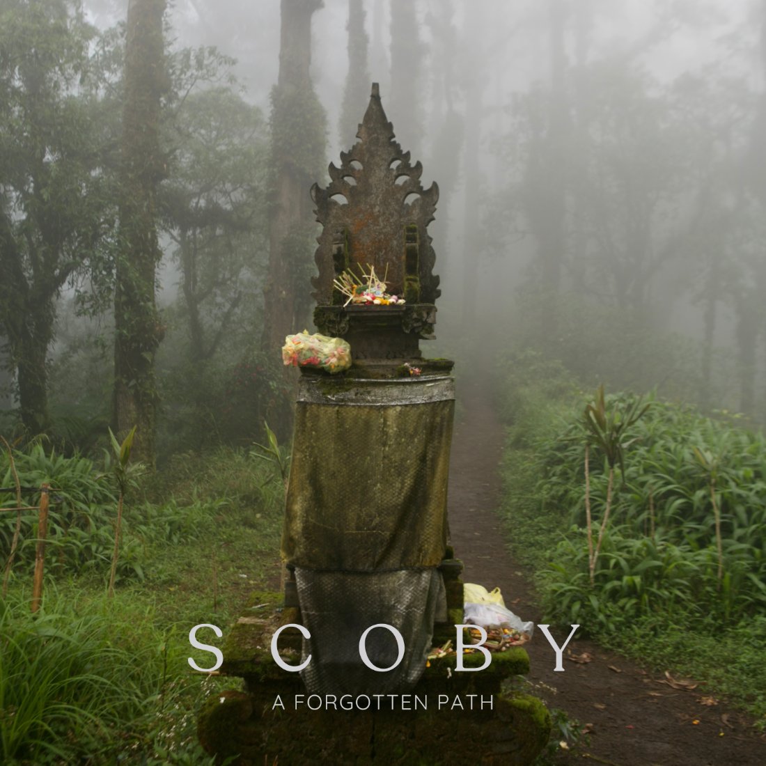 A Forgotten Path — cover art