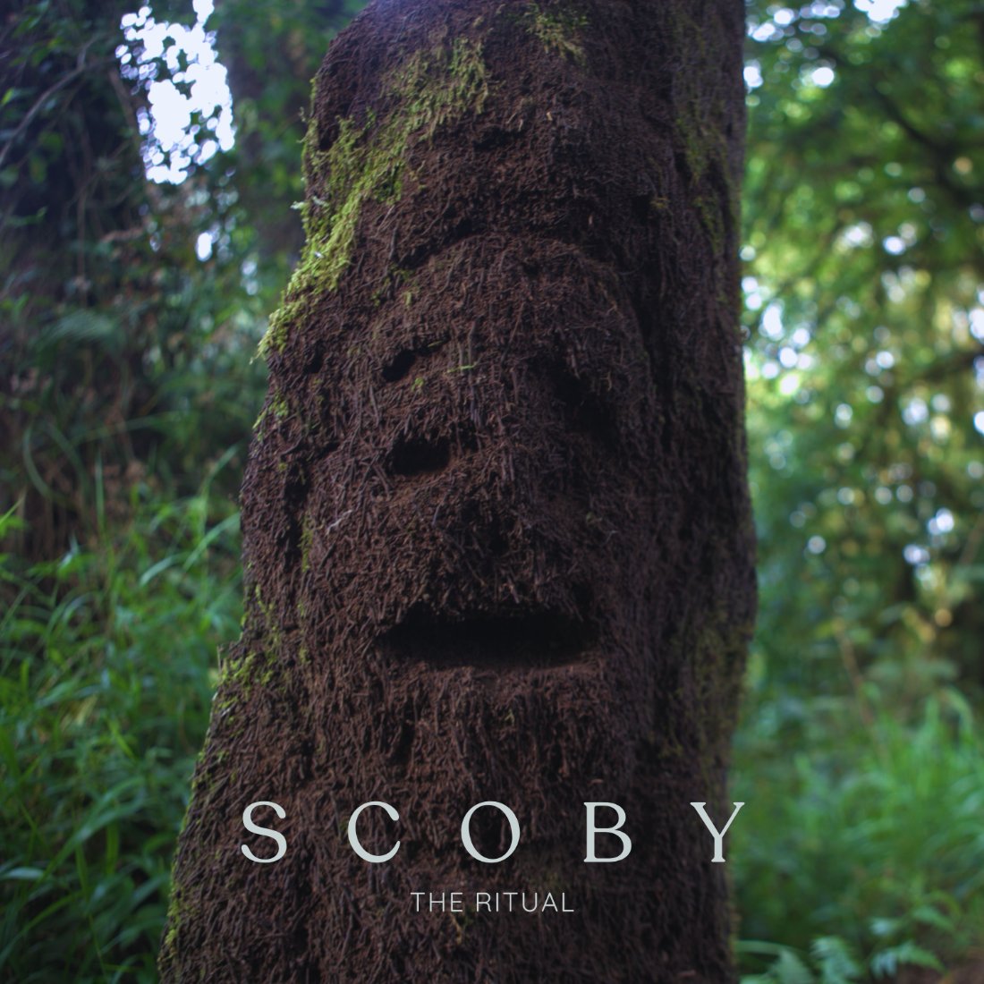 The Ritual — cover art